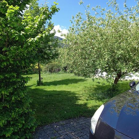 באד אישל Flores, Ferienhaus Oder Doppelzimmer, Im Gruenen, 5 Gehminuten Ins Zentrum, Parkplatz, Zero Emissions מראה חיצוני תמונה