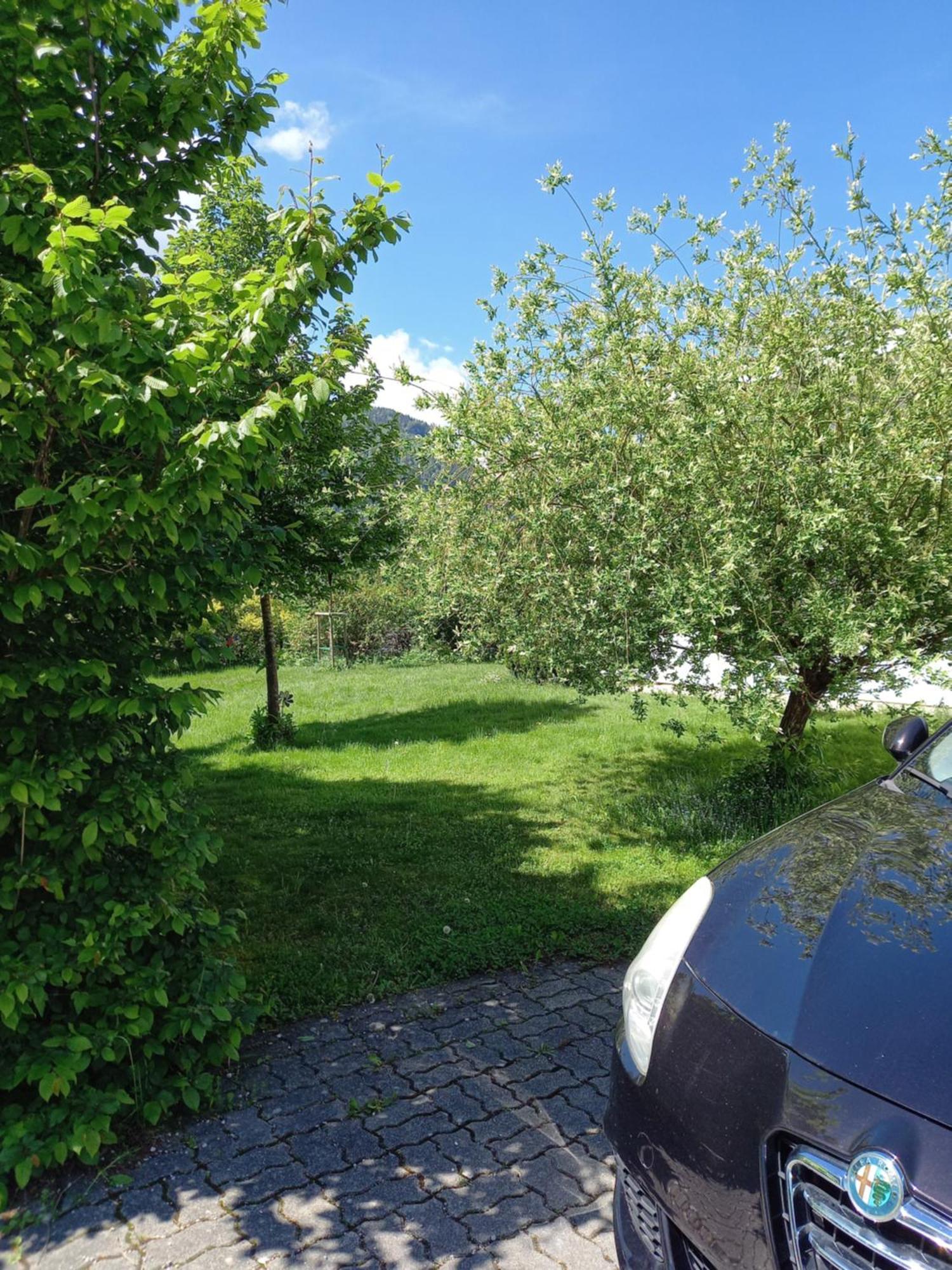 באד אישל Flores, Ferienhaus Oder Doppelzimmer, Im Gruenen, 5 Gehminuten Ins Zentrum, Parkplatz, Zero Emissions מראה חיצוני תמונה